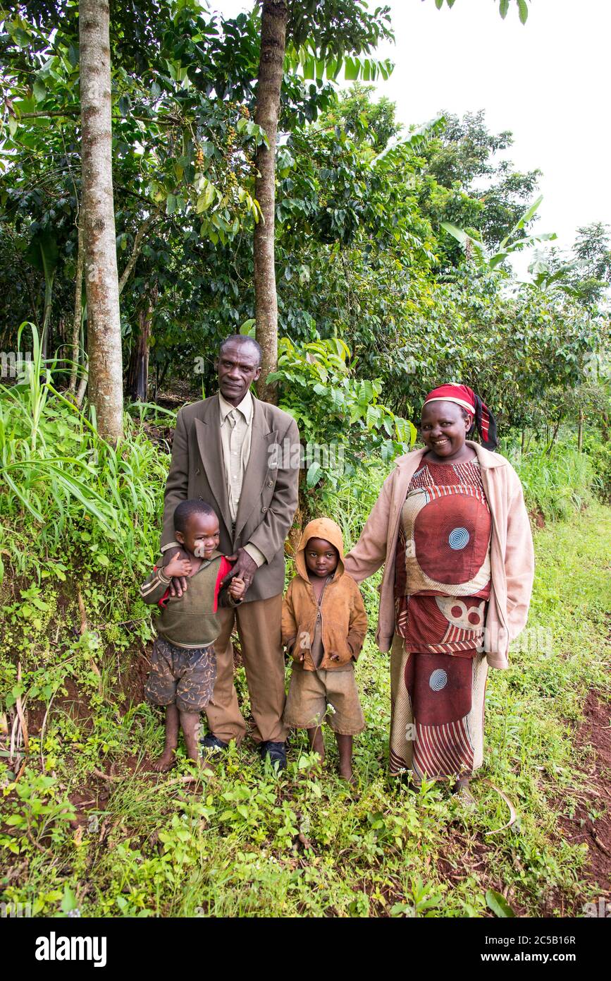 Besuch der Gashonga Kaffee-Kooperative in der Region Lake Kivu in Ruanda Stockfoto