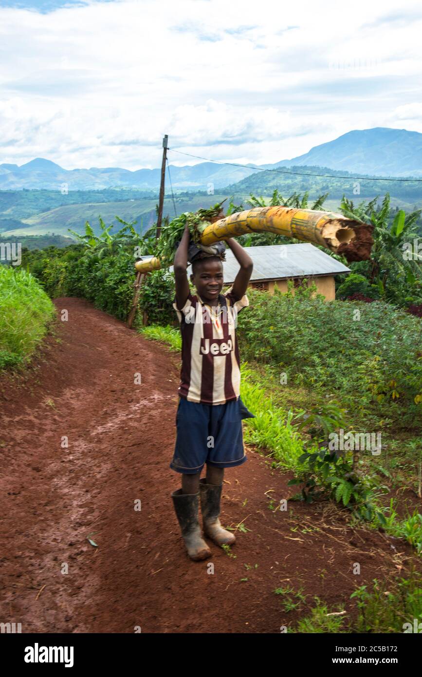 Besuch der Gashonga Kaffee-Kooperative in der Region Lake Kivu in Ruanda Stockfoto