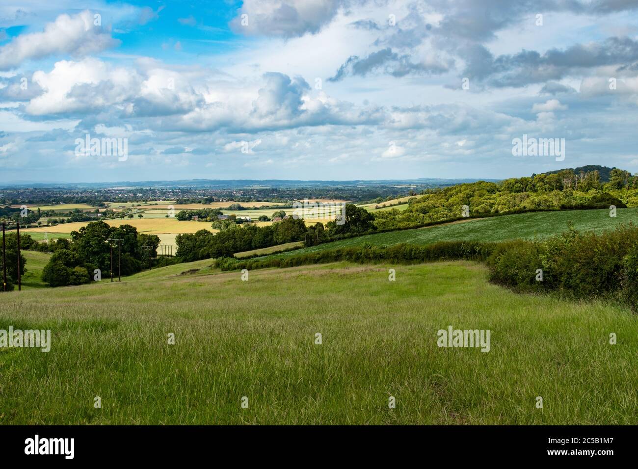 Blick bergab über Weizenfelder in Herefordshire, England an sonnigen Tagen Stockfoto