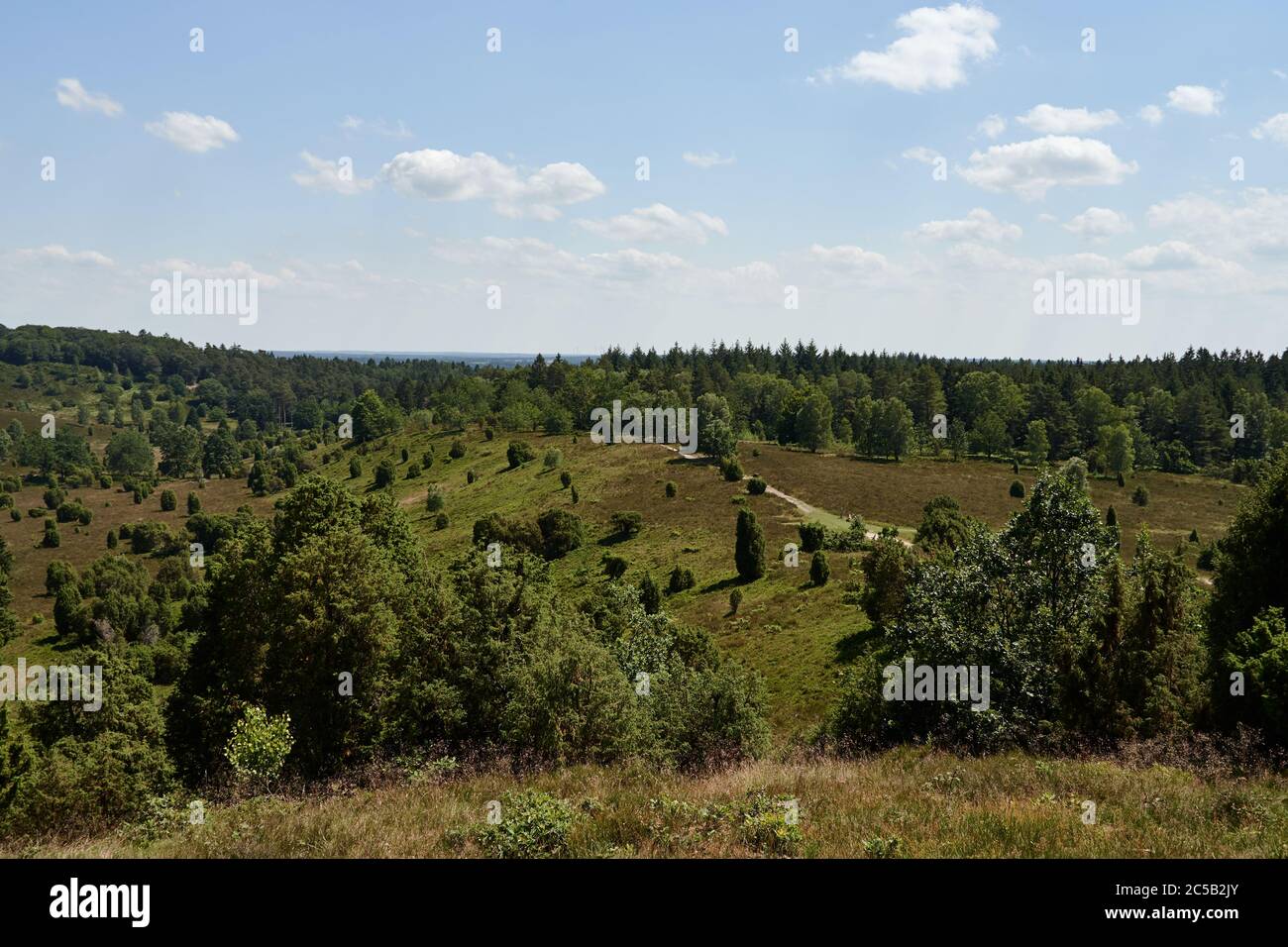 Panoramalandschaft am Becken Totengrund in der Lüneburger Heide bei Wilsede, Deutschland Stockfoto