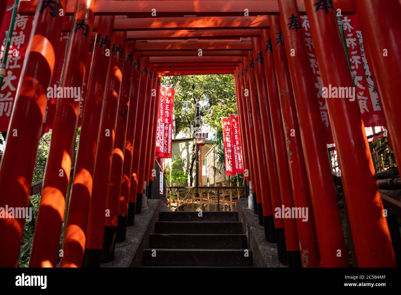 Torii Reihe am Hie-Schrein. Tokio, Japan Stockfoto