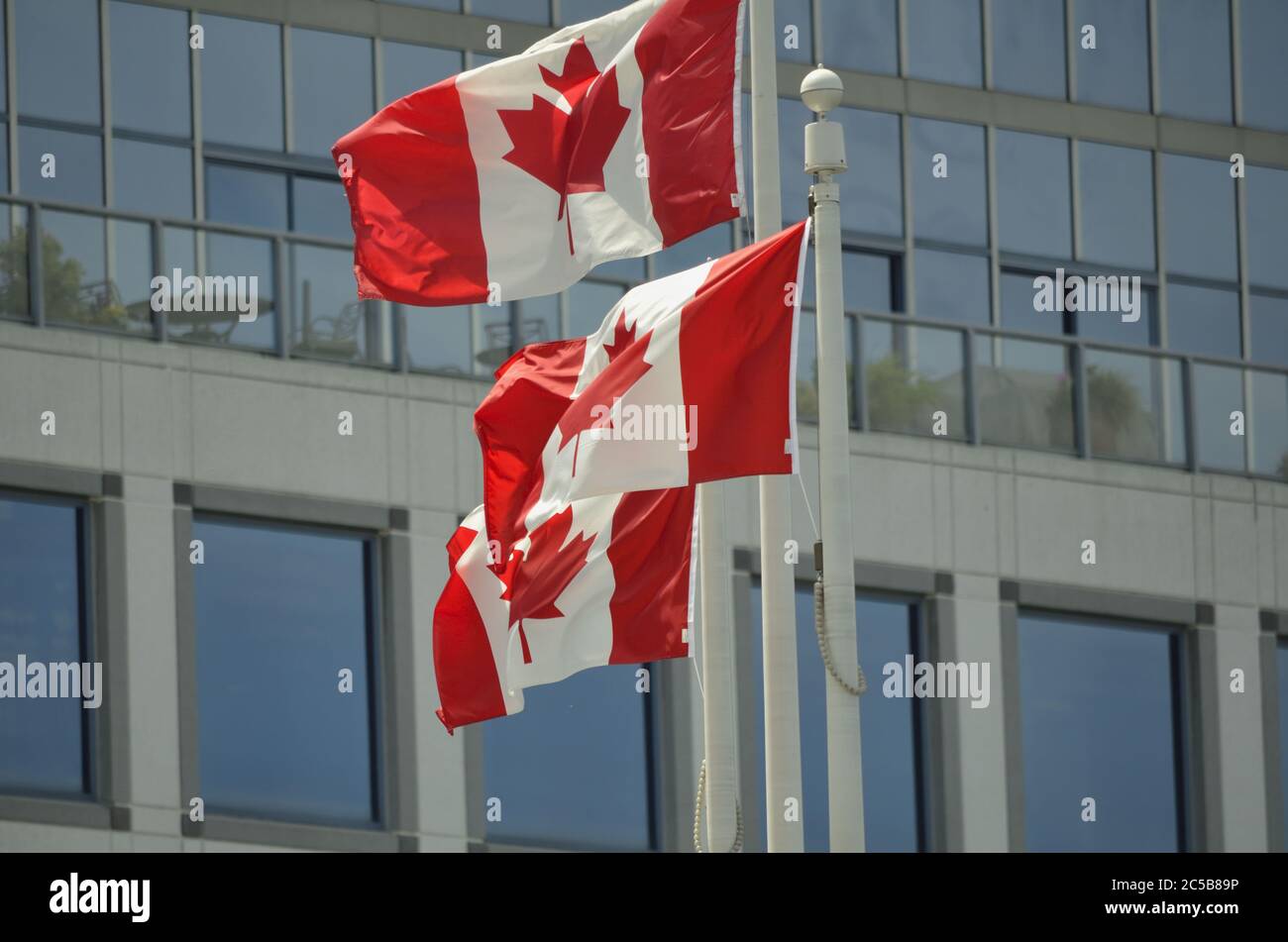 Flagstaffs mit kanadischen Flaggen Stockfoto
