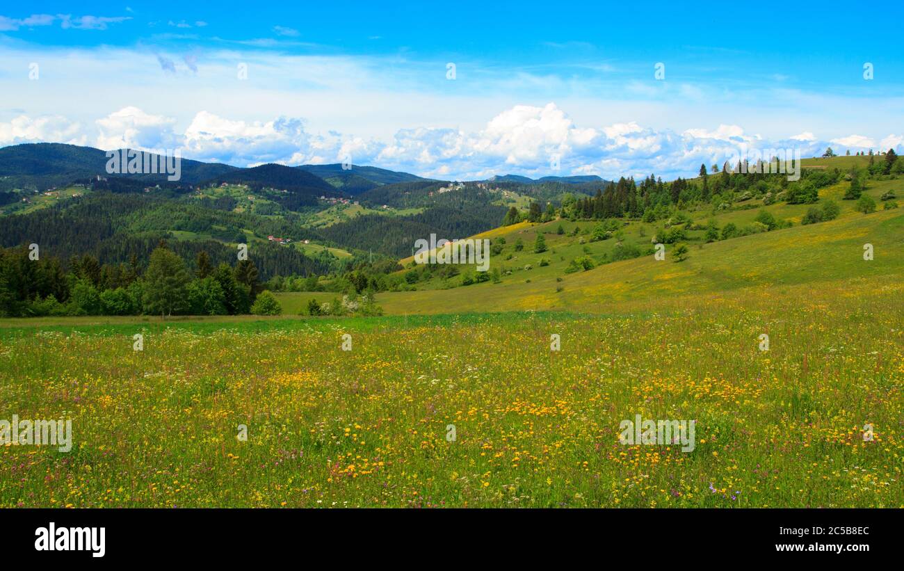 Vilovi Dorf in der Nähe von Nova Varos, Zlatar in Serbien Stockfoto