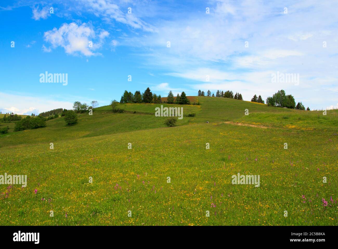 Vilovi Dorf in der Nähe von Nova Varos, Zlatar in Serbien Stockfoto