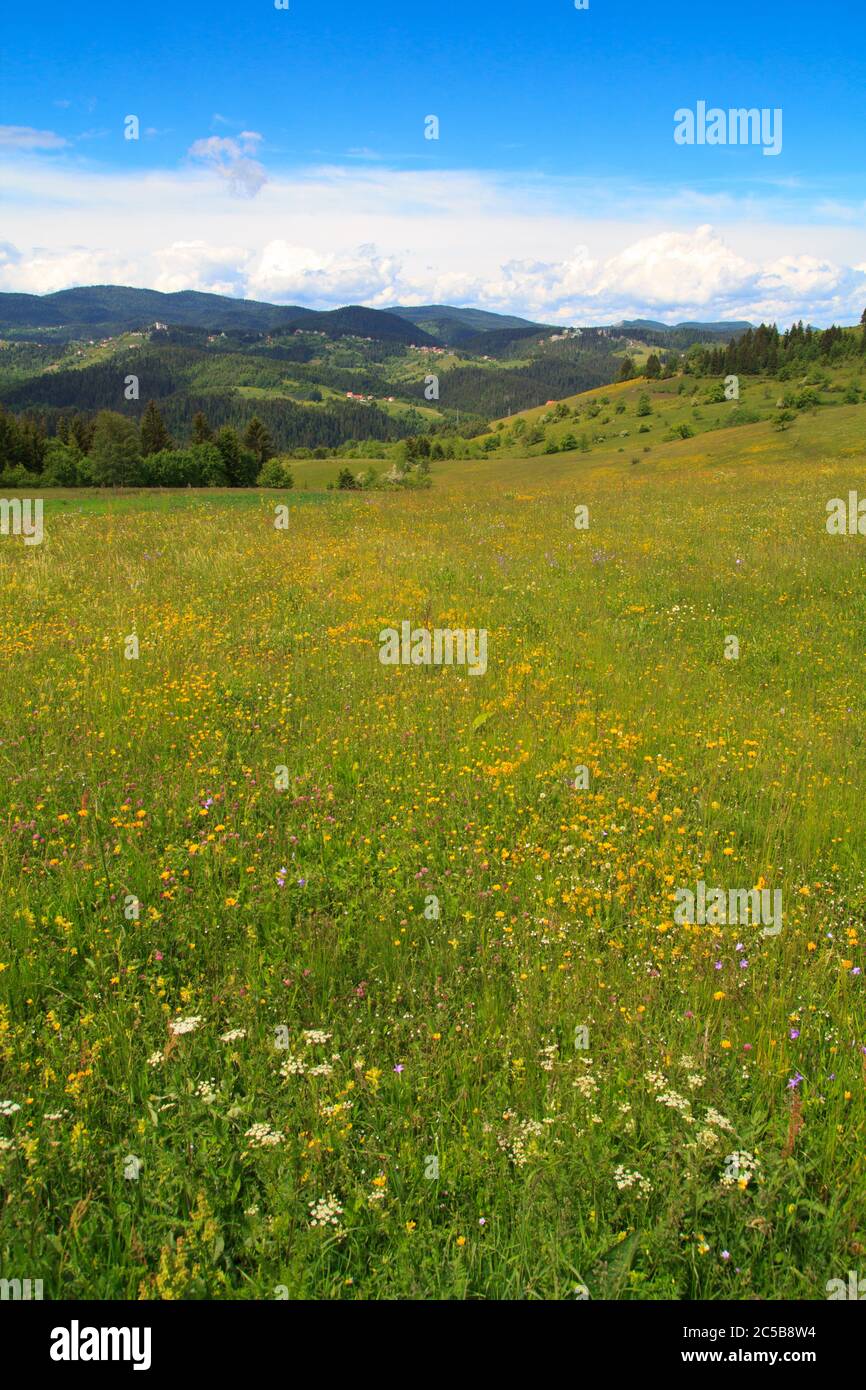 Vilovi Dorf in der Nähe von Nova Varos, Zlatar in Serbien Stockfoto