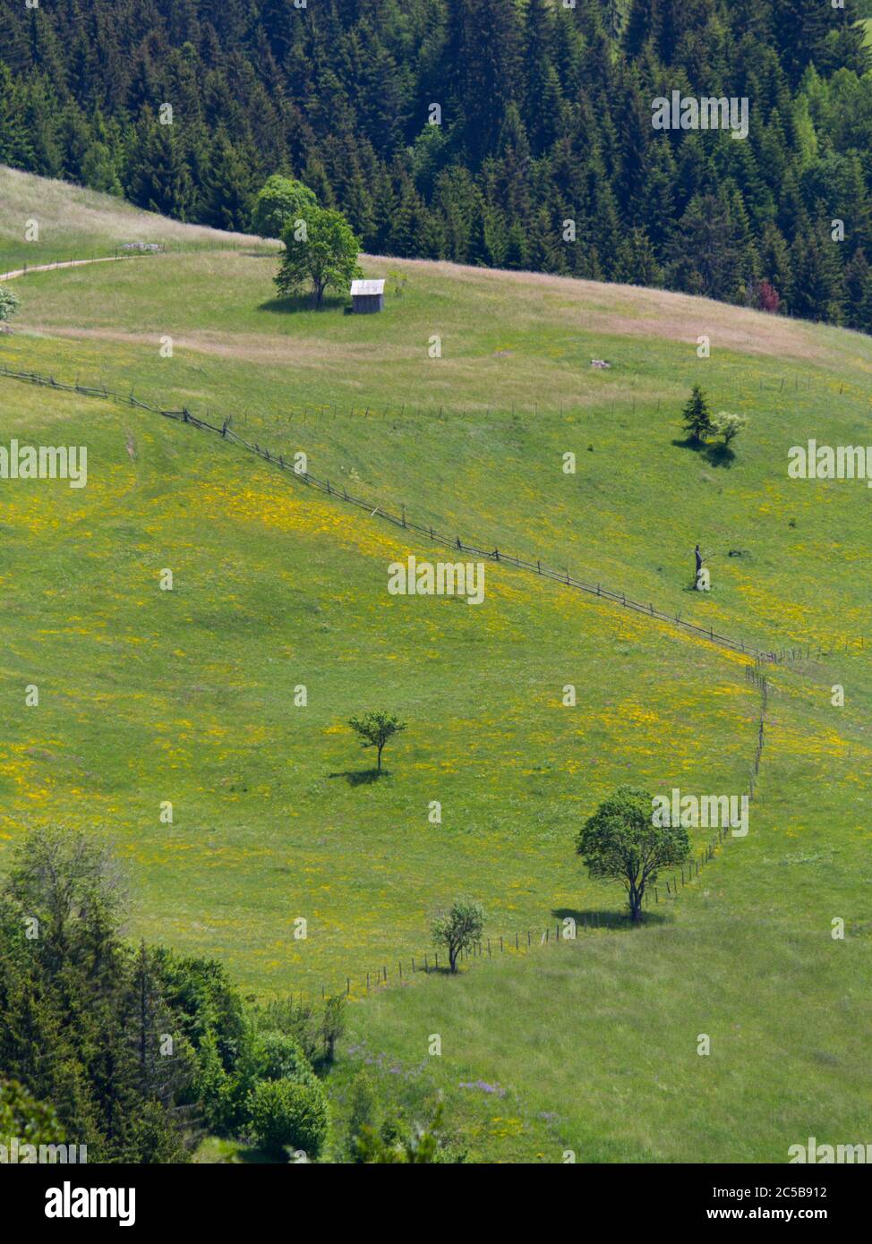 Zlatar Landschaft bei Nova Varos Stockfoto