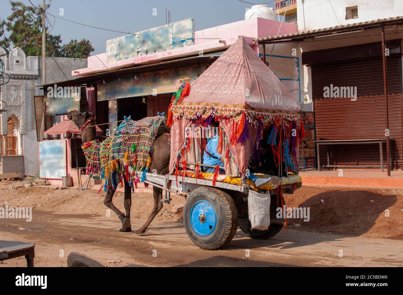 Das Kamel ist Teil der Landschaft von Rajasthan; die Ikone der Wüste Staat, Teil seiner kulturellen Identität, und ein wirtschaftlich wichtiges Tier für Stockfoto