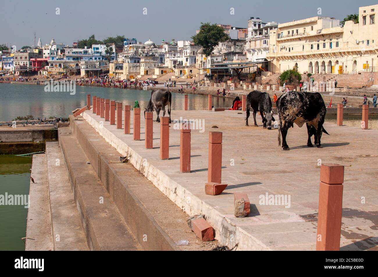 Pushkar See oder Pushkar Sarovar ist ein heiliger See der Hindus befindet sich in der Stadt Pushkar in Ajmer Bezirk der Rajasthan Staat der westlichen I Stockfoto