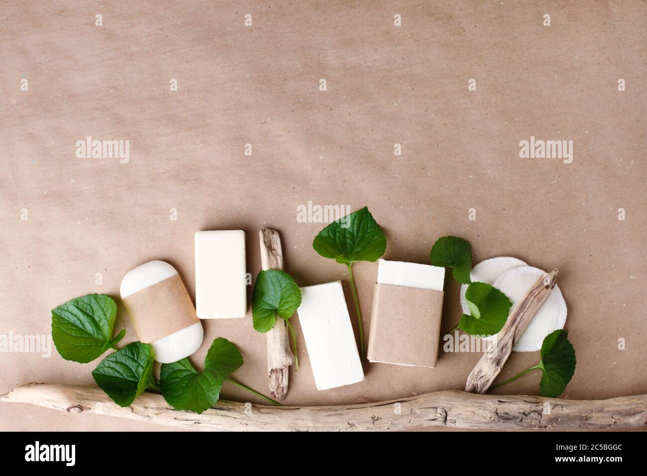Kosmetische Natur Hautpflege und ätherisches Öl aromatherap, Bio Naturwissenschaft Beauty-Produkt pflanzliche alternative Medizin, Mock-up, umweltfreundliche Lust Stockfoto