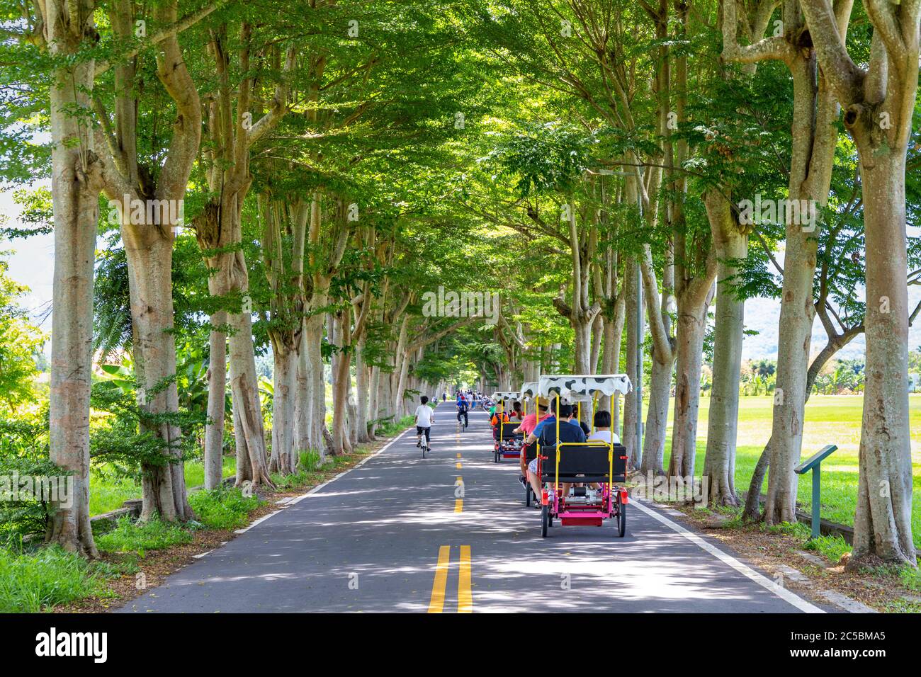 Viele Touristen fahren elektrische Dreiräder auf Luye Longtian Bike District, Taitung, Taiwan Stockfoto