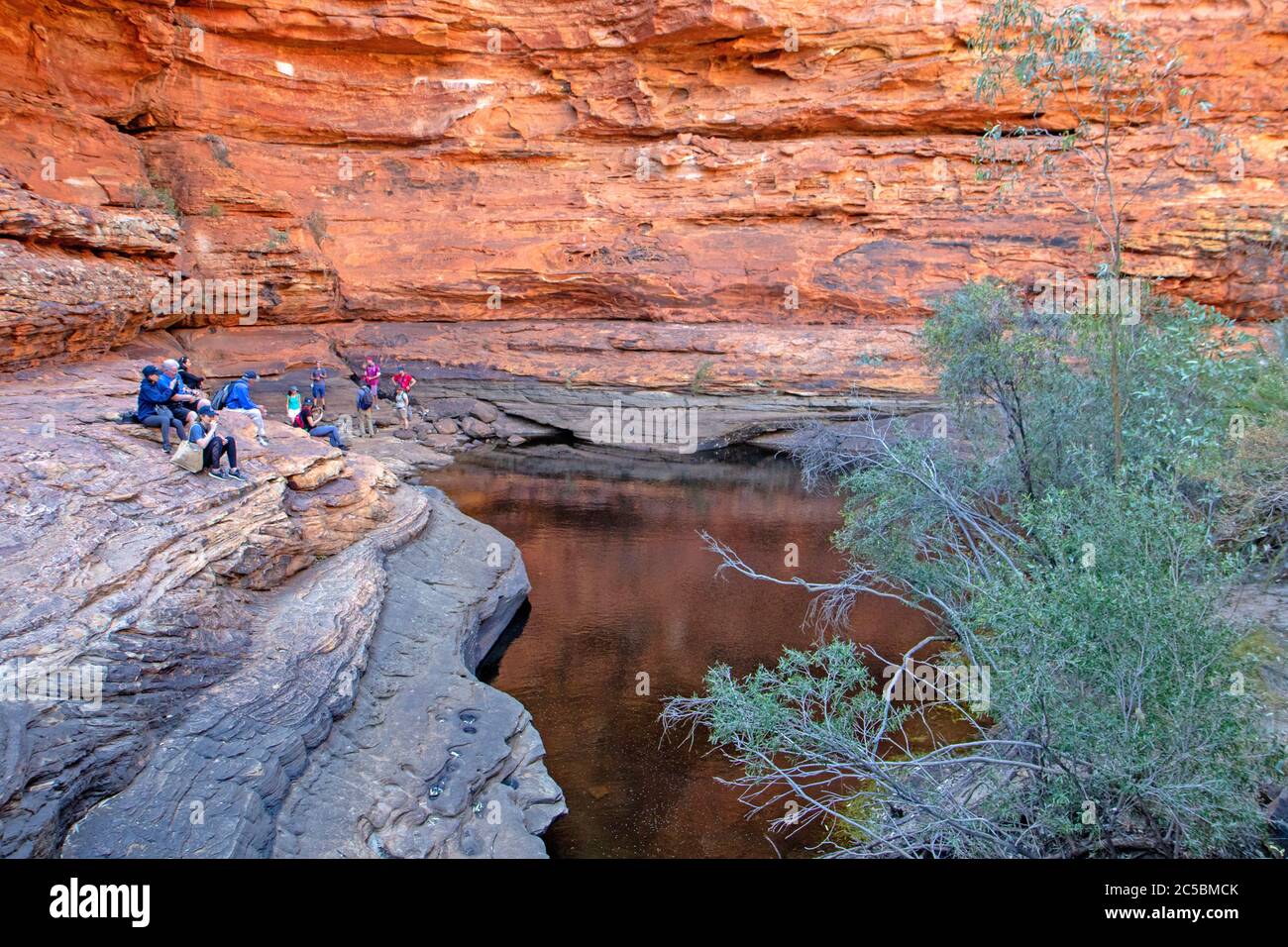 Der Garten Eden in Kings Canyon Stockfoto