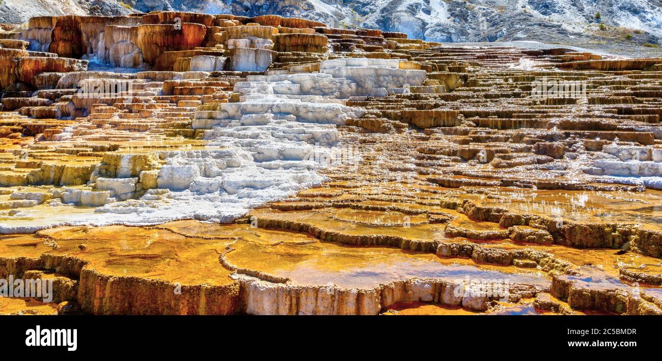 Panorama-Nahaufnahme von Jupiter und Mound Terrassen in Mammoth Hot Springs im Yellowstone Nationalpark, wo Travertin-Formationen und fließendes heißes Wasser Stockfoto