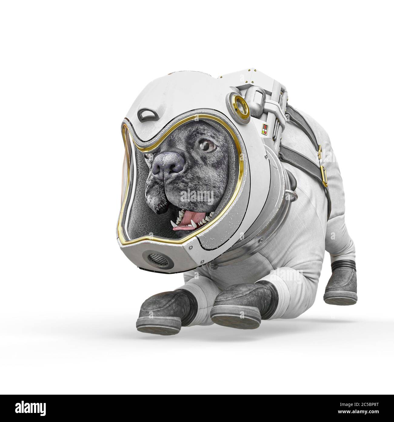 Hund der Astronaut ist bereit, in weißem Hintergrund zu spielen,  3d-Illustration Stockfotografie - Alamy