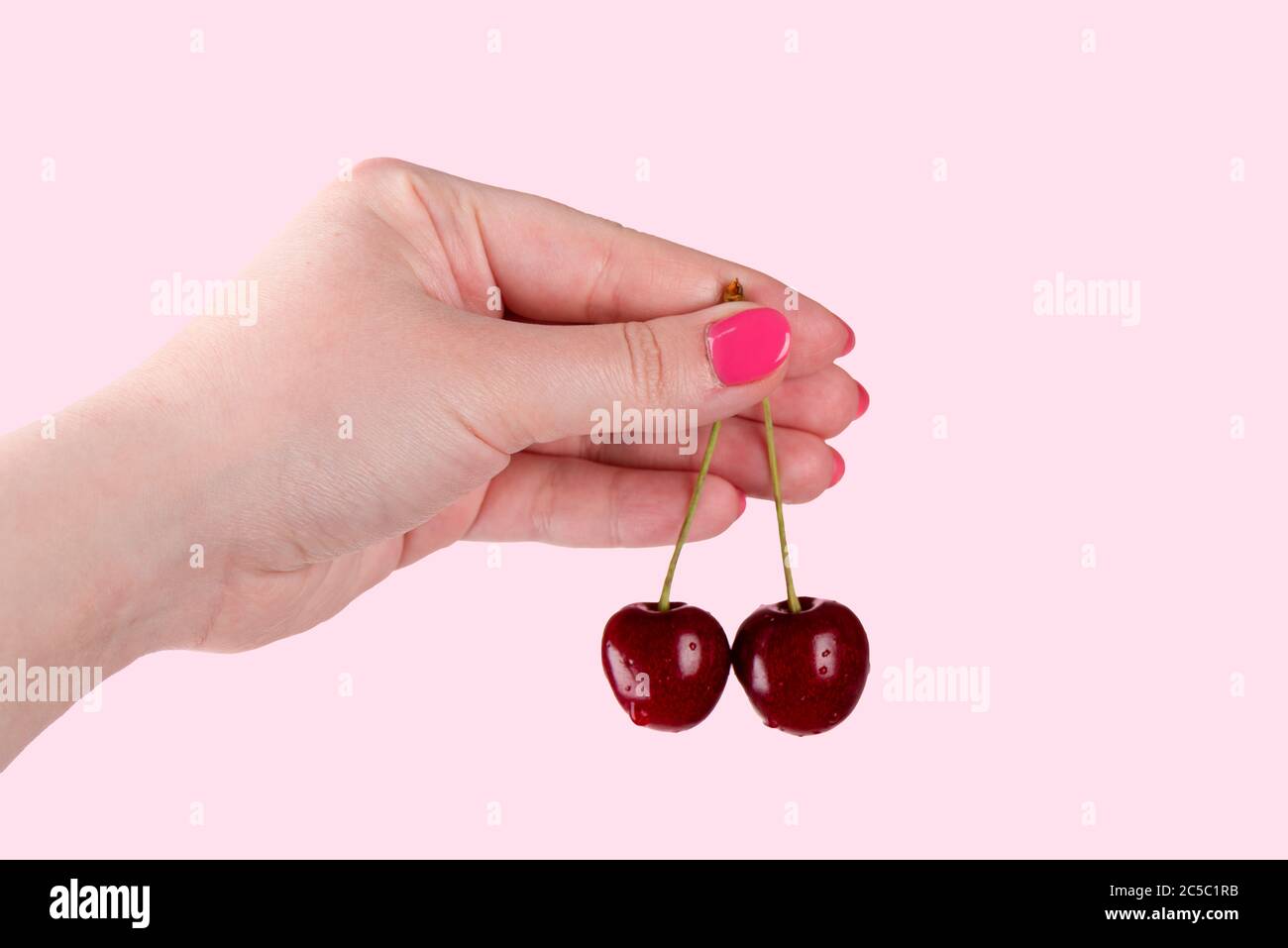 Nahaufnahme. Schöne weibliche Hand hält Kirschen Beeren auf rosa Hintergrund. Wassertropfen auf Kirschen. Stockfoto
