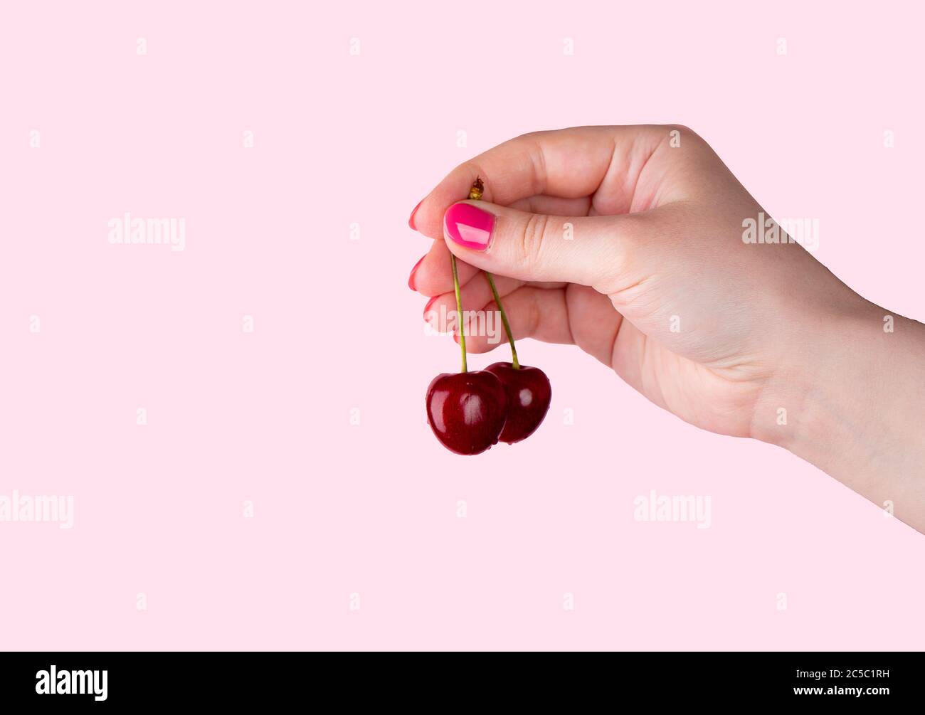 Schöne weibliche Hand hält Kirschen Beeren auf rosa Hintergrund. Wassertropfen auf Kirschen. Stockfoto