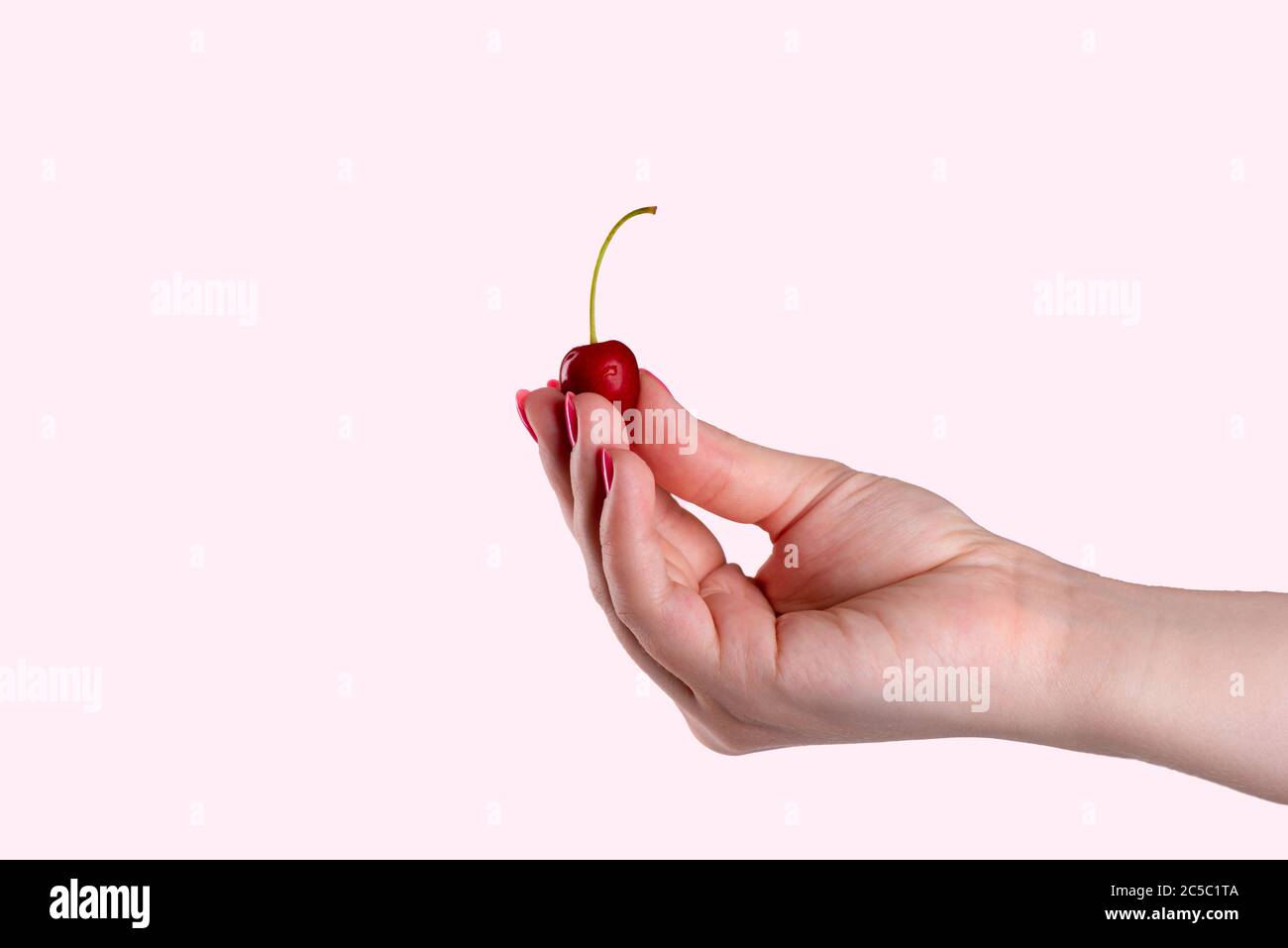 Schöne weibliche Hand hält eine Kirsche Beere auf einem rosa Hintergrund. Ein Tropfen Wasser auf einer Kirsche. Stockfoto