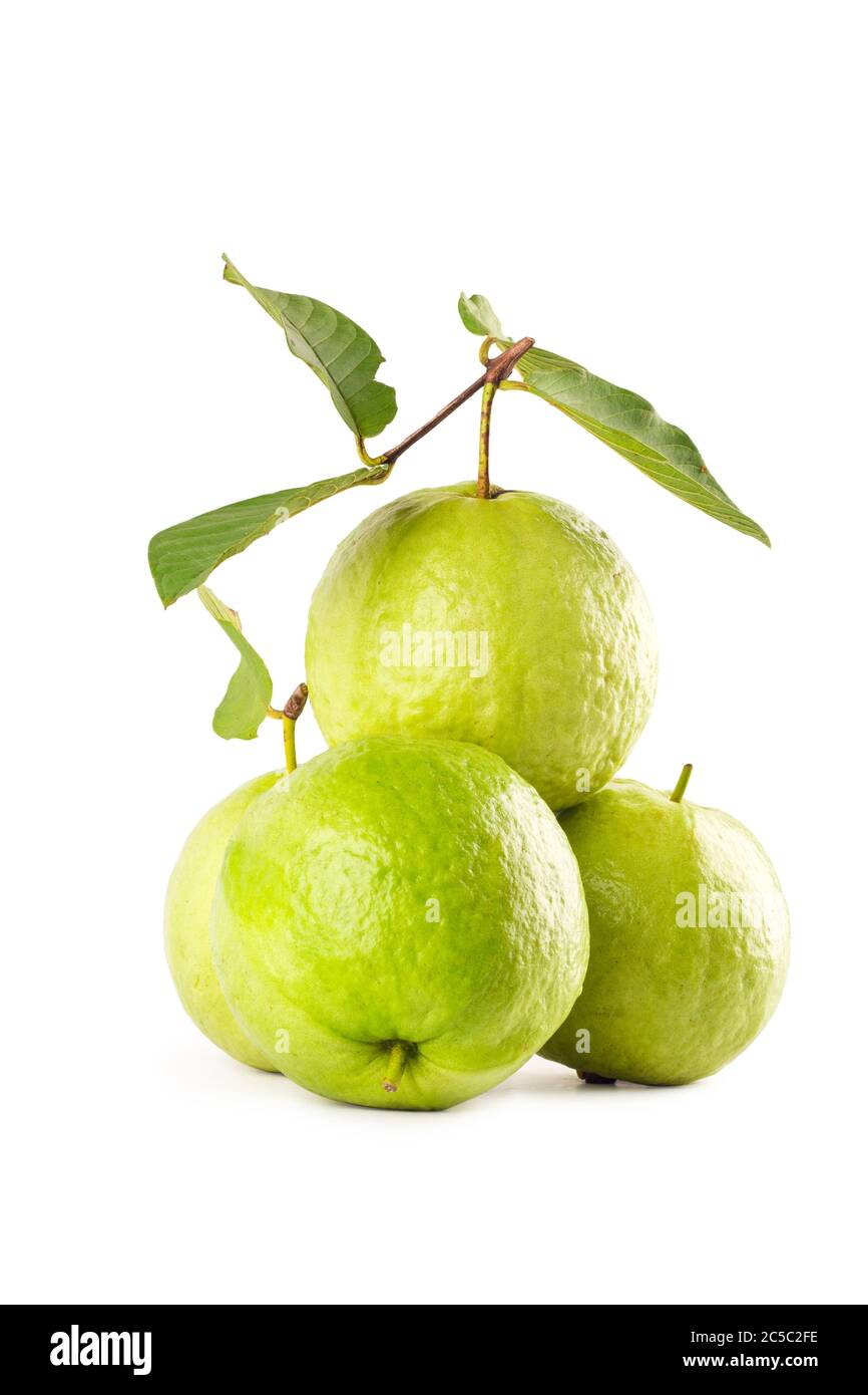 Crystal Guava psidium guajava Sorte auf weißem Hintergrund Obst Landwirtschaft Lebensmittel isoliert Stockfoto