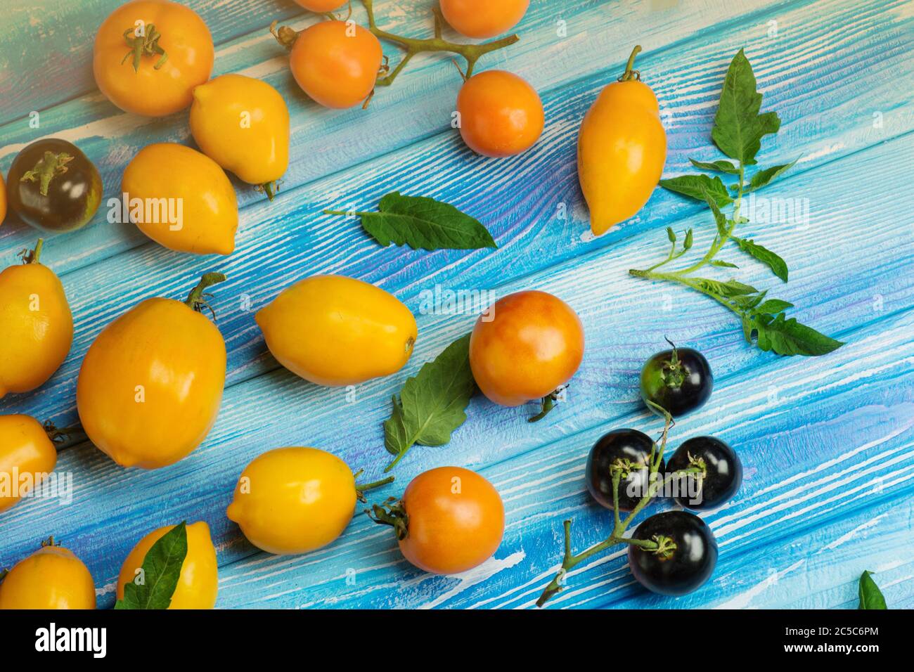 Die Ernte der Mischung Tomaten. Verschiedene bunte Tomaten. Tomaten sind verschiedene Sorten. Mischen Tomaten Hintergrund Stockfoto