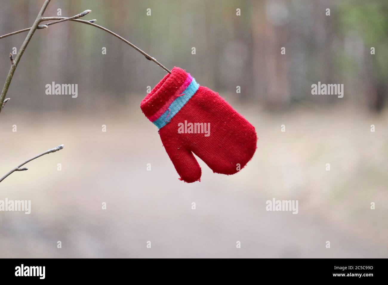 Einsame rote Kinderhandschuhe hängen auf einem Zweig über einem Waldweg. Nahaufnahme. Stockfoto