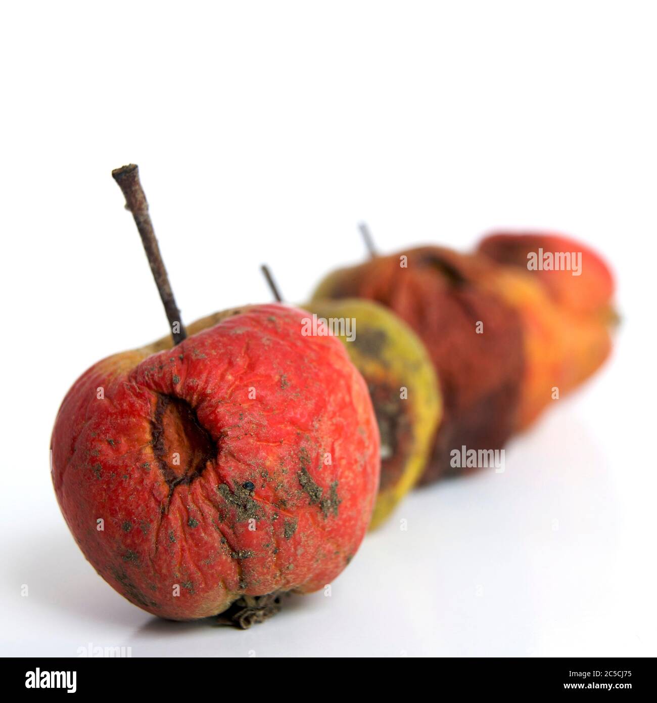 Verfaulte Äpfel auf weißem Hintergrund isoliert Stockfoto