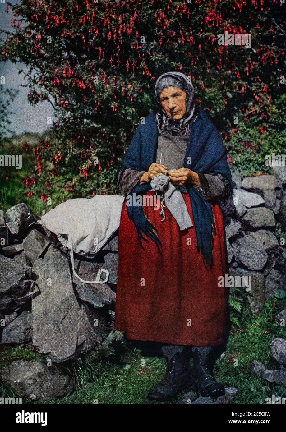 Ein Autochromportrait aus den frühen 1920er Jahren einer County Galway Großmutter, die die Wolle strickt, die sie gewaschen und gesponnen hat. Mit einem Fuschienbaum in voller Blüte und warmen Oktobersonnenstrahlen hat sie ihre Schürze entfernt, um das traditionelle Kleid der Westküste zu enthüllen. Ursprünglich fotografiert von Clifton Adams (1890-1934) für 'Ireland: The Rock Whence I Was Hewn', eine National Geographic Magazine-Spielfilm vom März 1927. Stockfoto