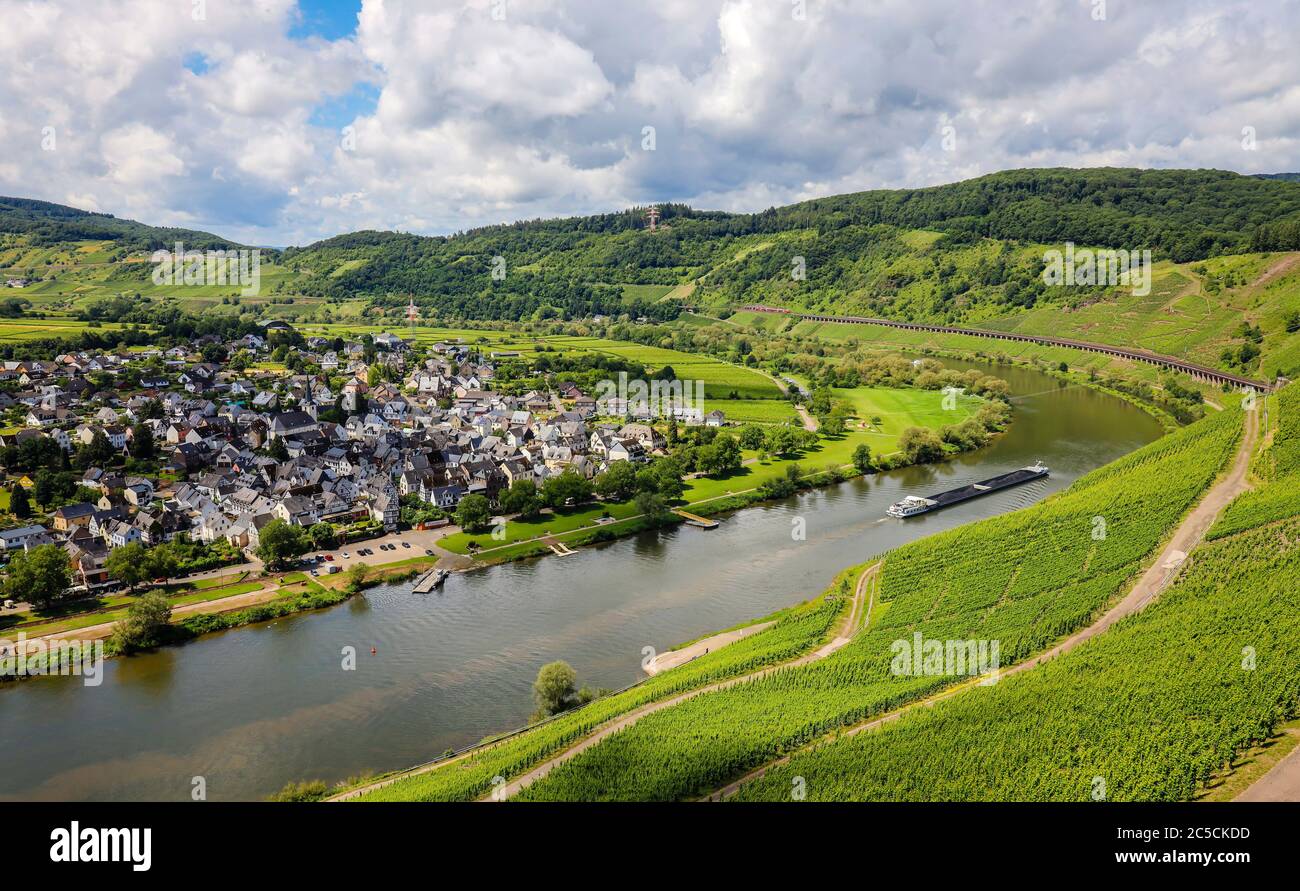 PŸnderich, Rheinland-Pfalz, Deutschland - Weingüter an der Mosel. Puenderich, Rheinland-Pfalz, Deutschland - Weinberge an der Mosel. Stockfoto