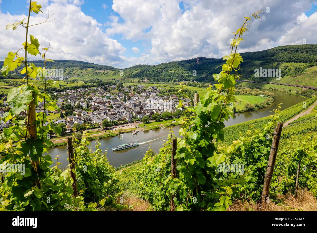 PŸnderich, Rheinland-Pfalz, Deutschland - Weingüter an der Mosel. PŸnderich, Rheinland-Pfalz, Deutschland - Weinberge an der Mosel. Stockfoto
