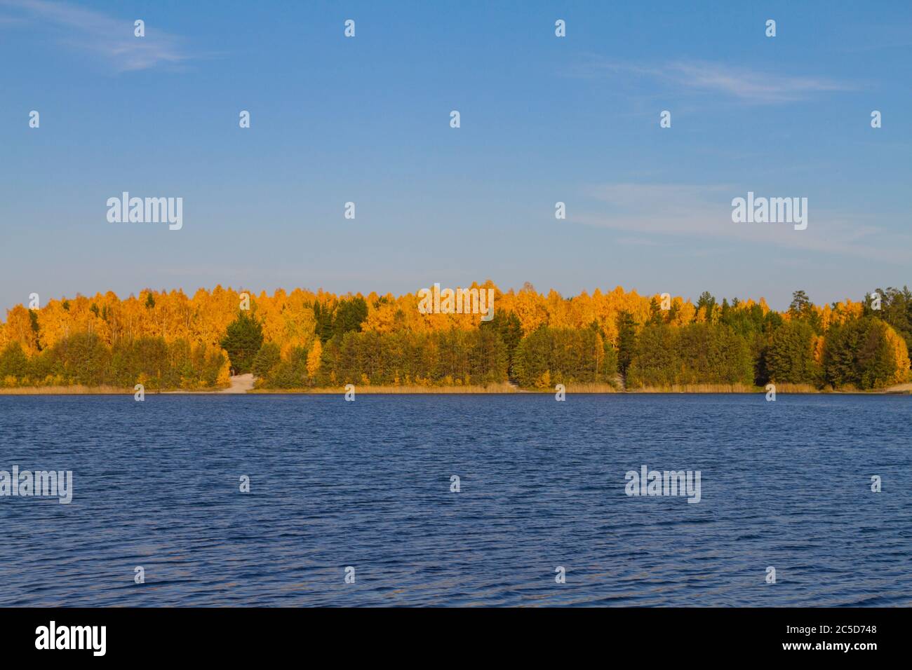 Herbstwald am Ufer des Sees mit blauem Wasser Stockfoto