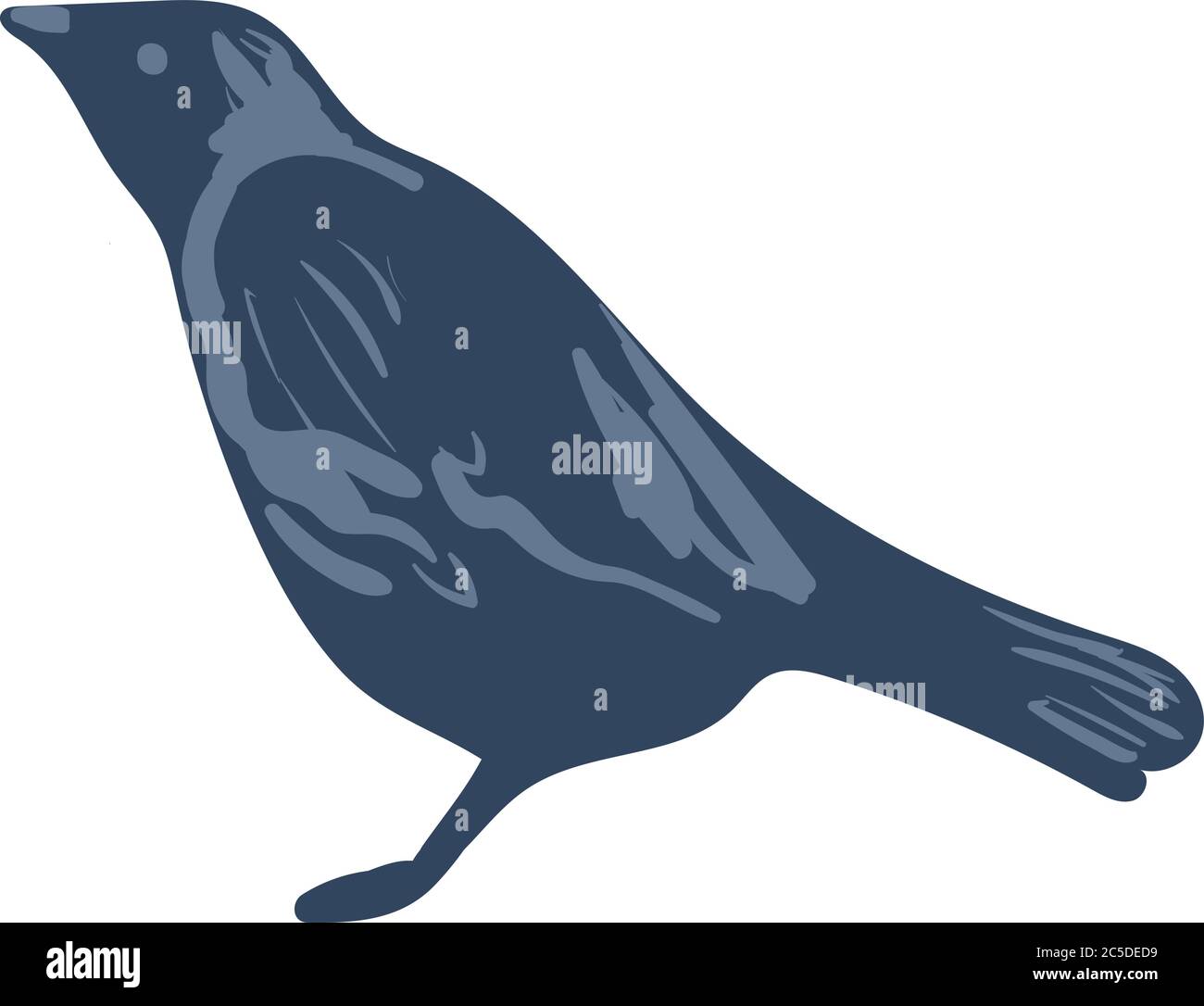 Dohlenvogel einfache Vektor-Illustration Stock Vektor