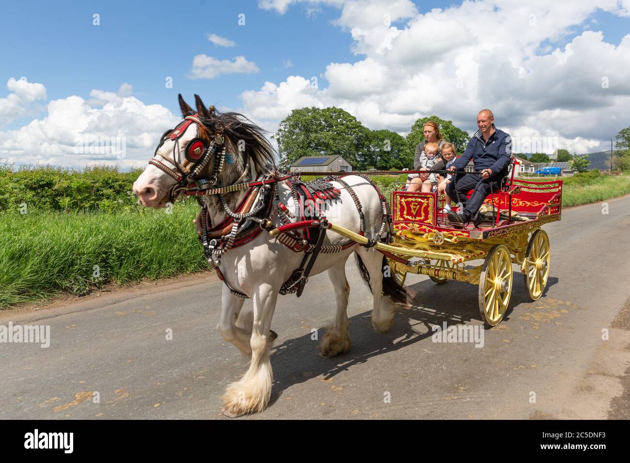 Appleby Horse Fair, Cumbria. Jährliches Treffen der Zigeuner und Reisenden in der Stadt Appleby-in-Westmorland 2019 Stockfoto