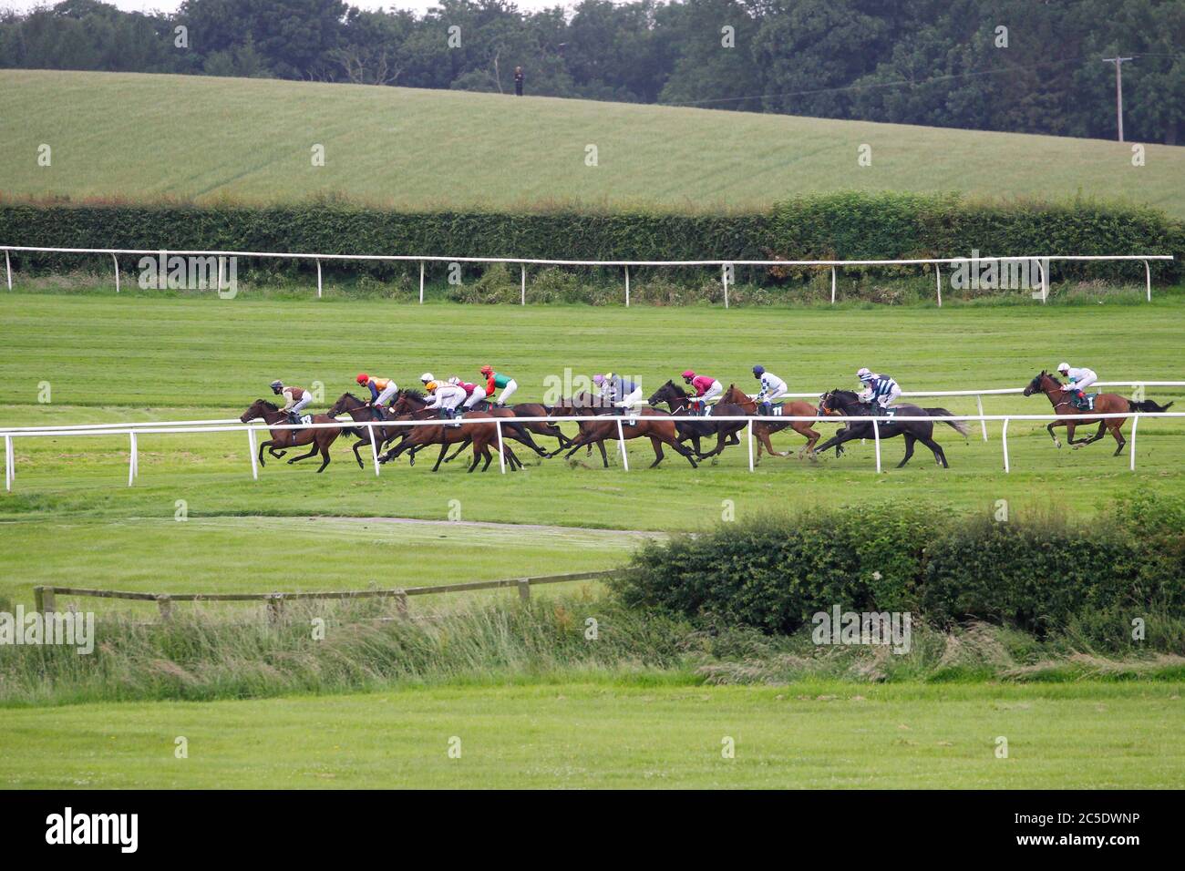 Läufer und Reiter in der Watch on Racing TV Handicap auf Catterick