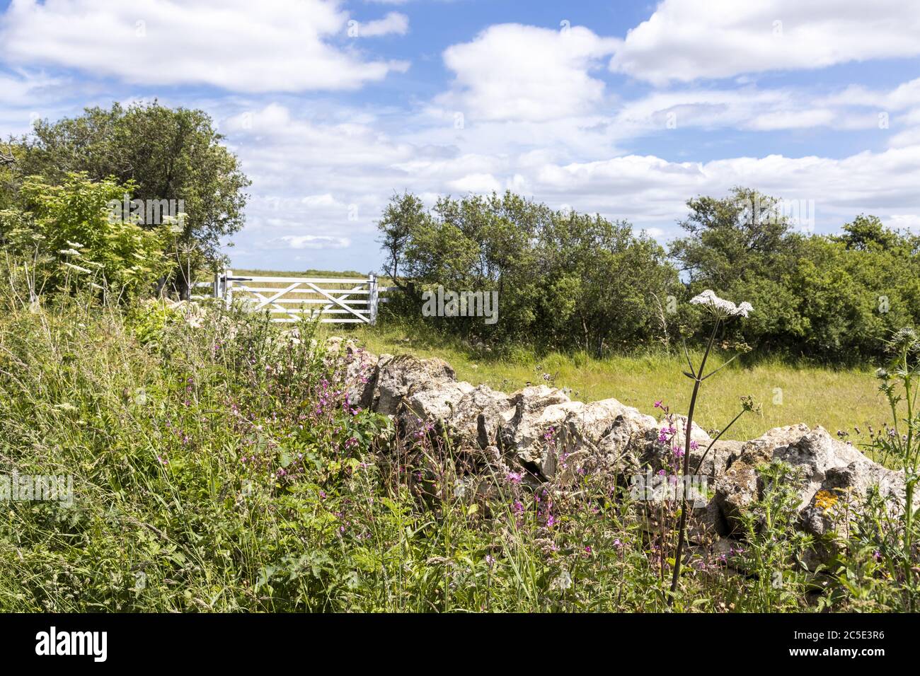 Eine Trockensteinmauer neben der Campden Lane (eine alte Straße), die heute ein Brückenweg auf den Cotswold Hills in der Nähe des Weilers Farmcote, Gloucestershire UK ist Stockfoto