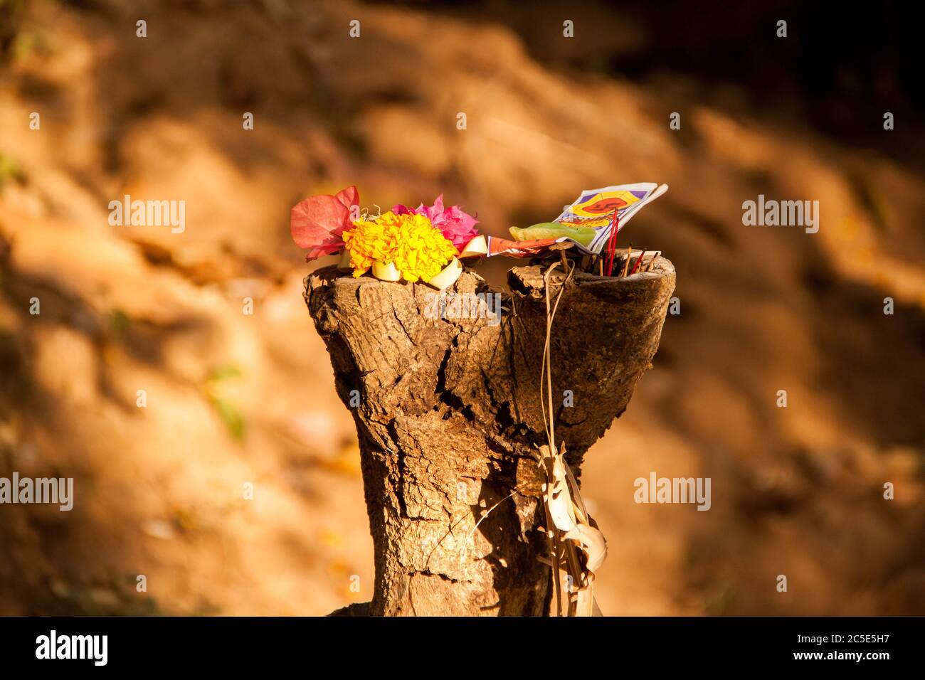 Canang Sari, farbenfrohe traditionelle hinduistische Opfergaben auf einem Stück Holz Stockfoto