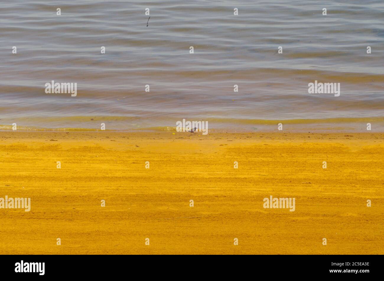 See Wellen zum Sandstrand, Serene Strand goldenen Sand, Traverse City Bay, einsamer Strand, Serene See, Serene See Wellen zum Ufer, Serene ruhigen See Stockfoto