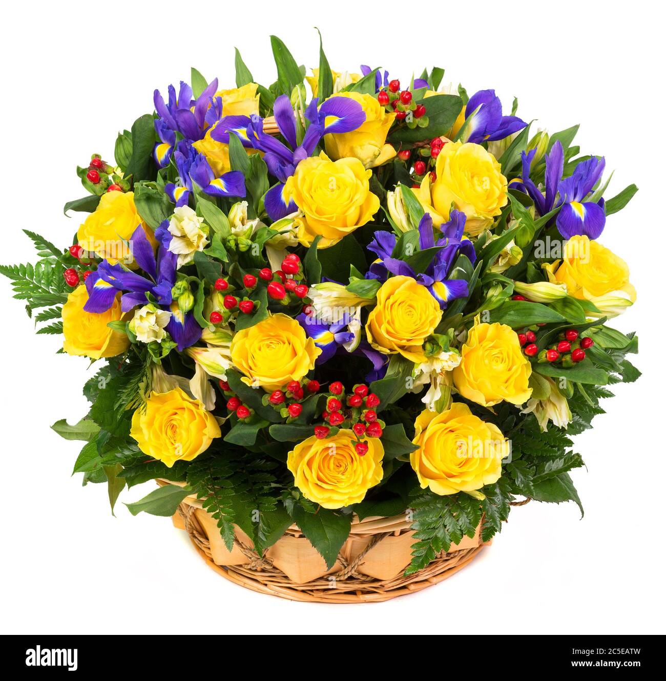 Natürliche gelbe Rosen und blaue Iris in einem Korb isoliert auf weißem Hintergrund Stockfoto