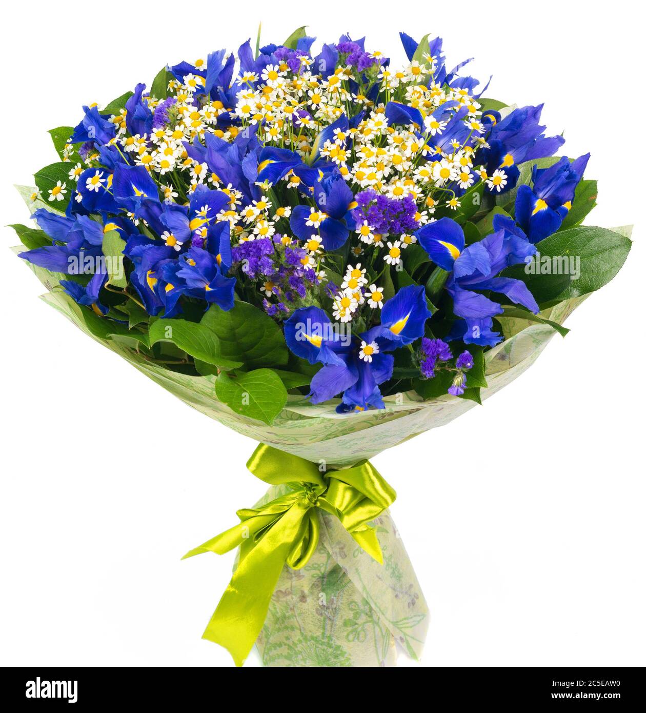 Bouquet von blauen Iris und Gänseblümchen isoliert auf weißem Hintergrund Stockfoto