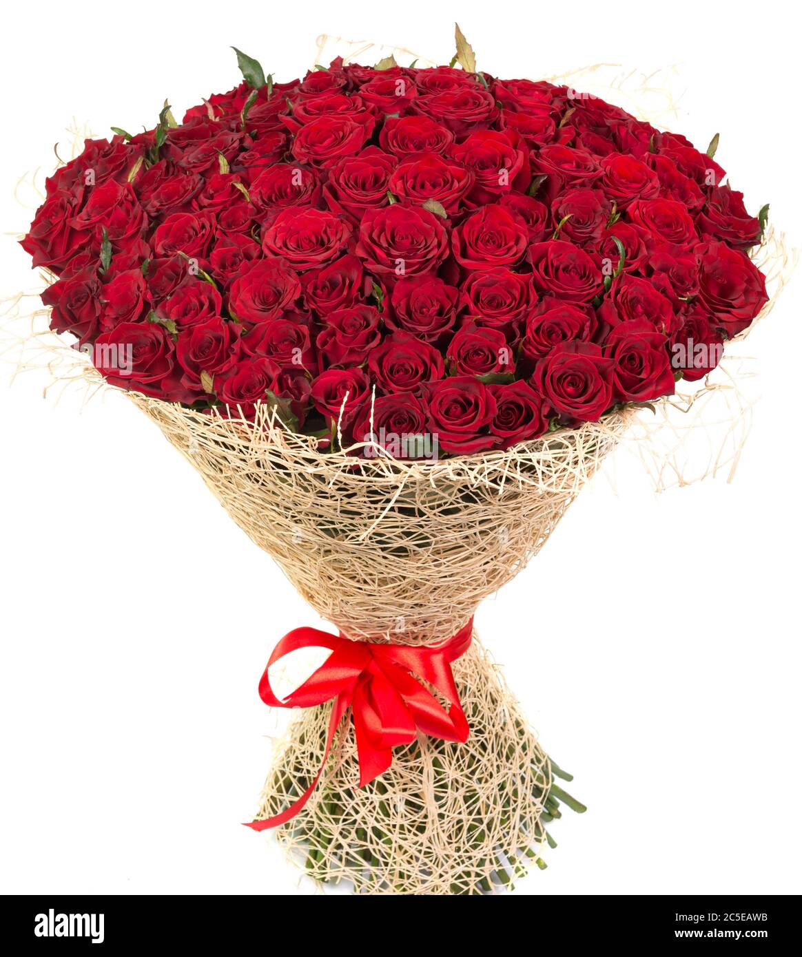 Großer Strauß roter Rosen auf weißem Hintergrund isoliert Stockfoto