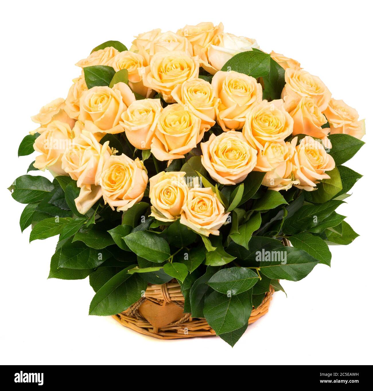 Natürliche Rosen in einem Korb isoliert auf weißem Hintergrund Stockfoto