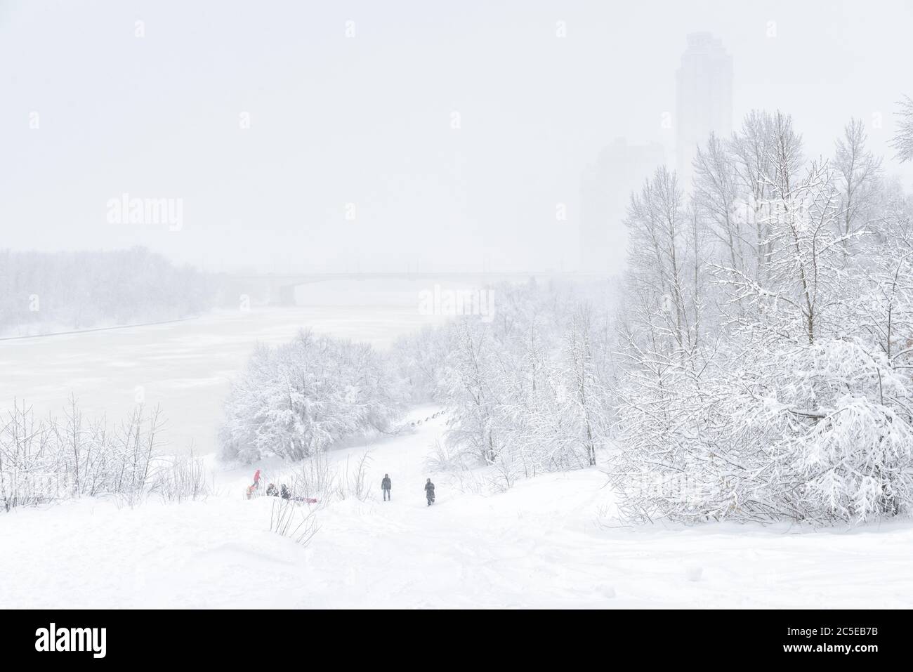 Winterlandschaft, Moskau, Russland. Im Park in der Nähe des Moskwa Flusses wandern die Menschen bei Schneefall. Winter Moskau im Freien Hintergrund. Landschaftlich schöne Aussicht auf eine verschneite Stockfoto