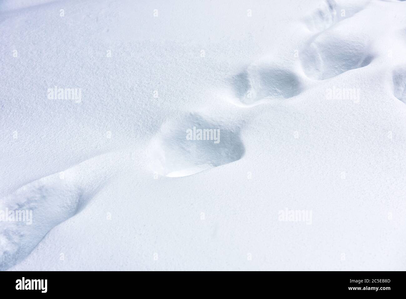 Schnee Textur abstrakter Hintergrund. Schlichte, schneebedeckte Landschaft. Glatte Fußabdrücke auf Neuschnee nach Schneefall. Szene der weißen Natur Oberfläche in w Stockfoto