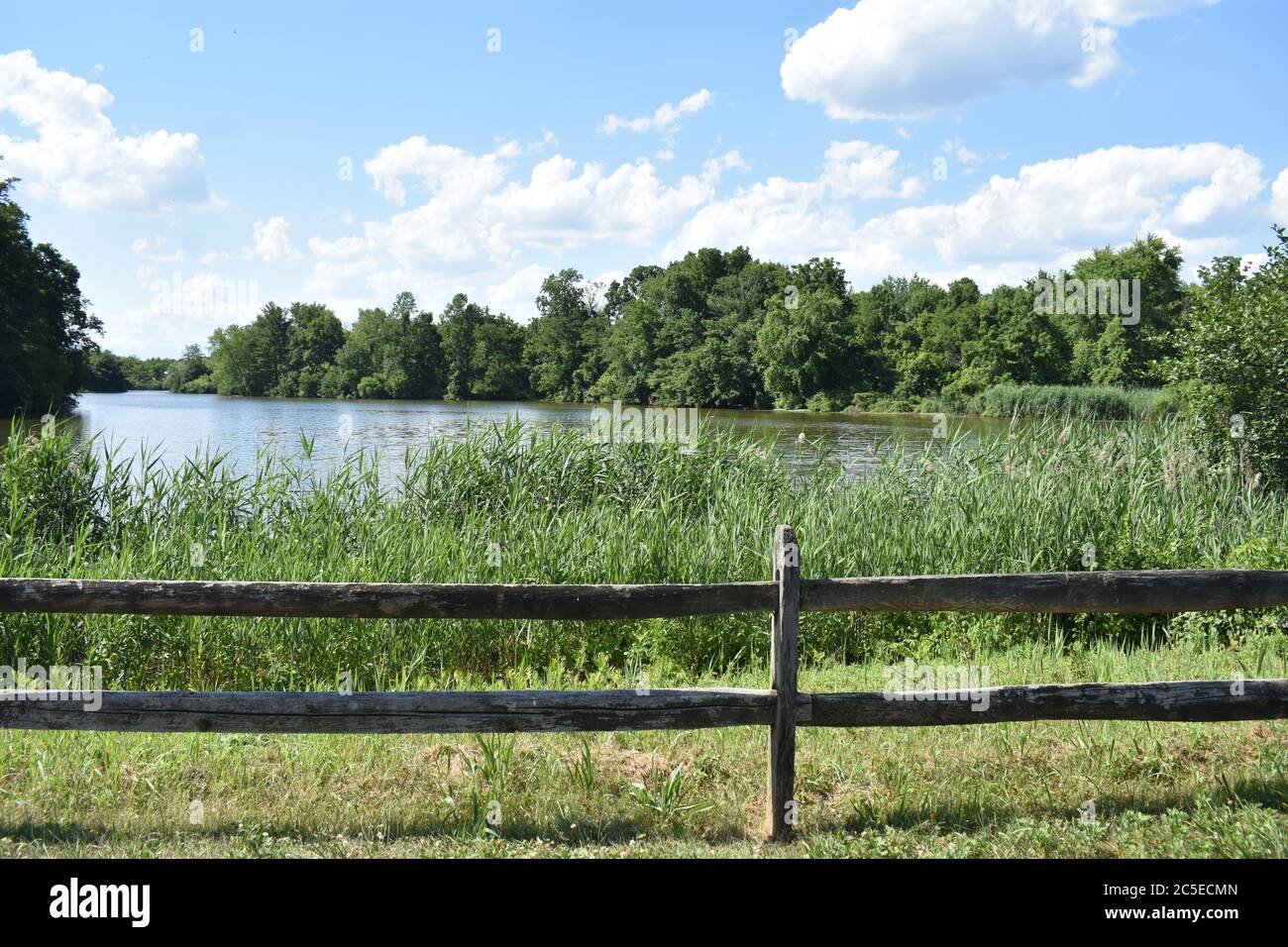 Landschaftlich reizvolle Aussicht auf den Marlu See im Thompson Park in Holmdel, New Jersey, USA, an einem meist sonnigen Tag mit geschwollenen Cumuluswolken Stockfoto