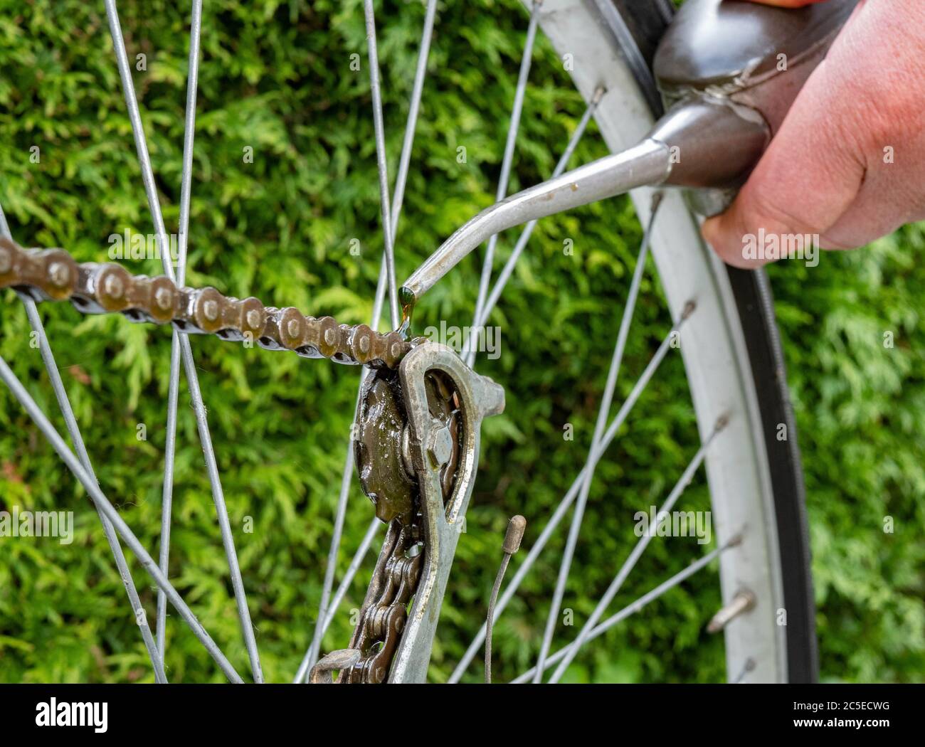 Nahaufnahme einer Menschenhand, die ein Rinnsal Öl aus einer alten Dose mit einem schmalen Auslauf auf die Kette und das Zahnrad eines Fahrrads gießt, um den Mechanismus zu schmieren. Stockfoto