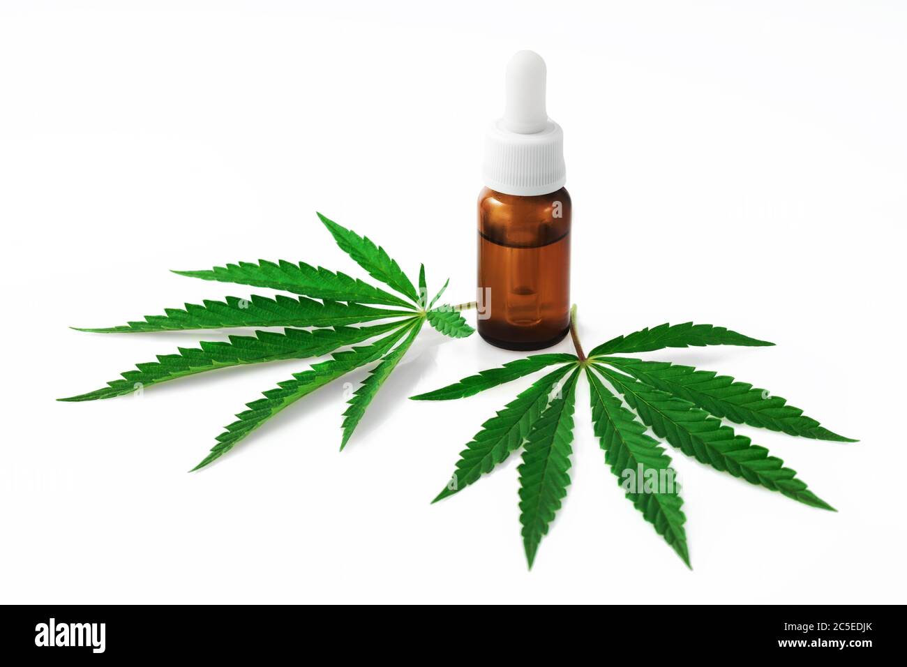 Marihuana Cannabisblätter und cbd-Öl in einer Flasche isoliert Stockfoto
