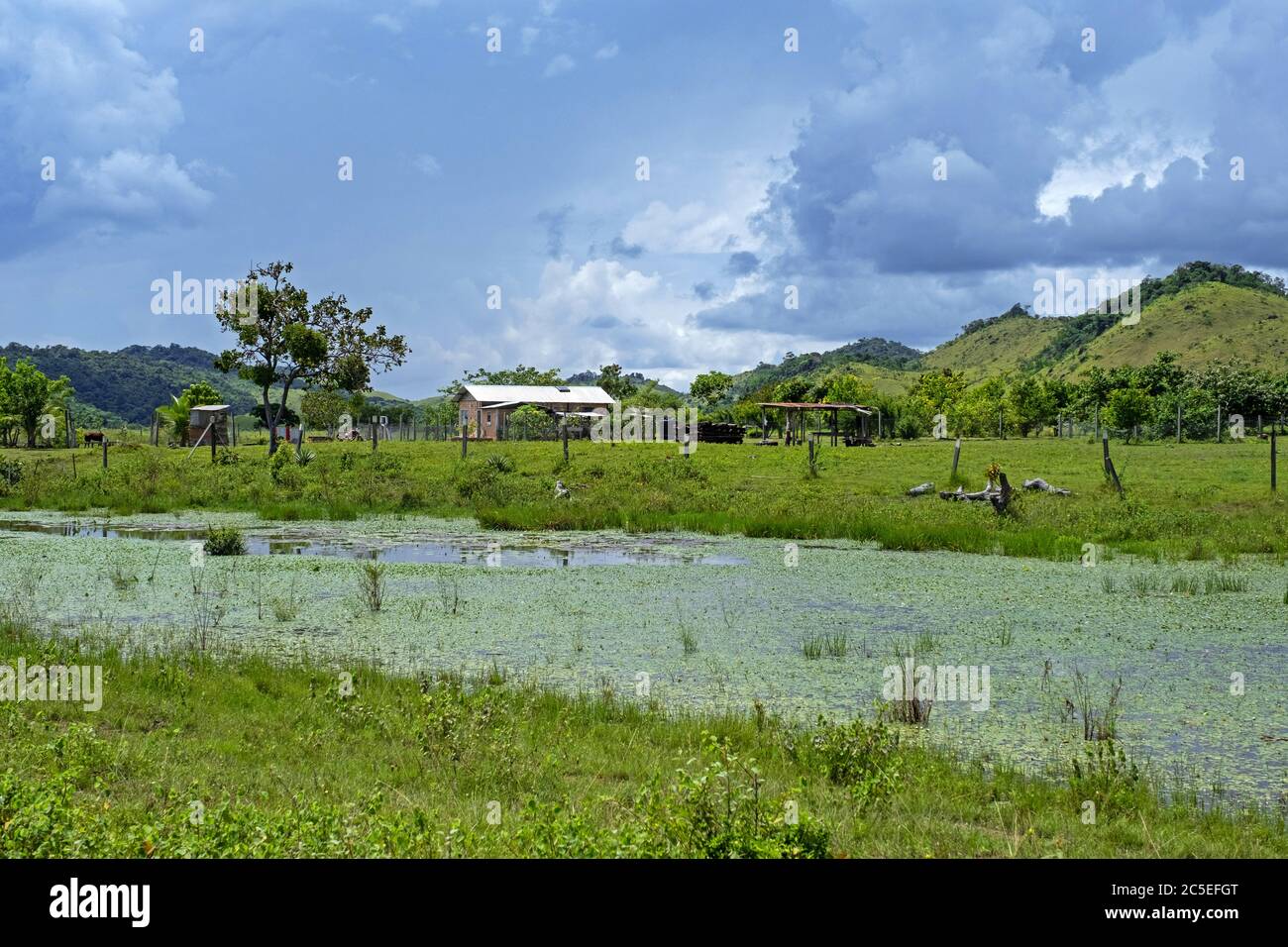 Kleines Bauernhaus an der Savanne entlang der Straße Linden-Lethem Schotterstraße, die Lethem und Georgetown in der Regenzeit, Guyana, Südamerika verbindet Stockfoto