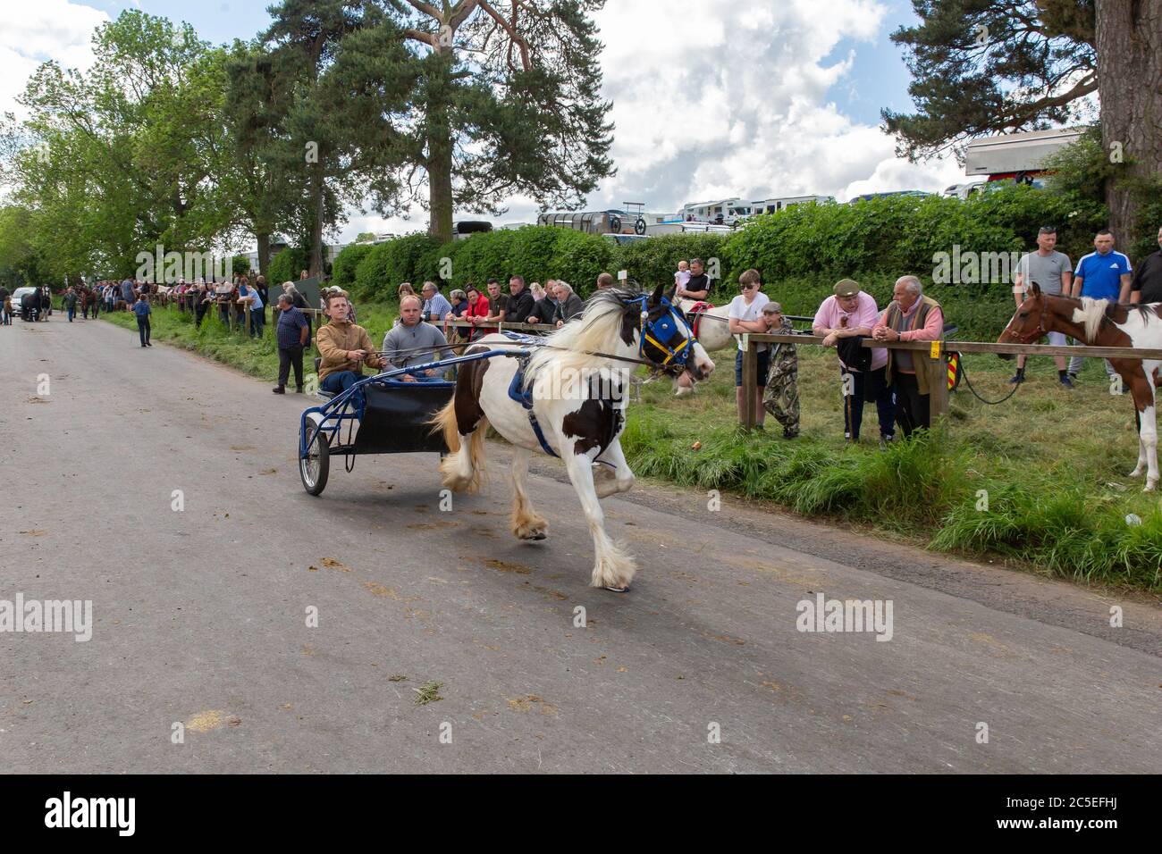 Appleby Horse Fair, Cumbria. Ein Treffen von Zigeunern und Reisenden in Appleby-in-Westmorland 2019. Die Pferdehändler reisen aus ganz Großbritannien. Stockfoto