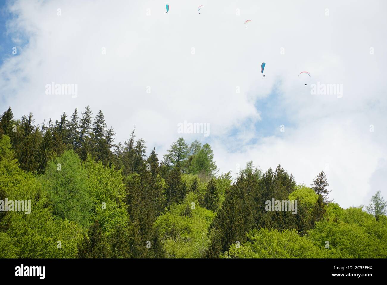 Mischwälder mit Gleitschirmfliegern, die unter dem wolkigen Himmel verstreut darüber fliegen. Der Wald ist von verschiedenen Schattierungen von Grün. Stockfoto