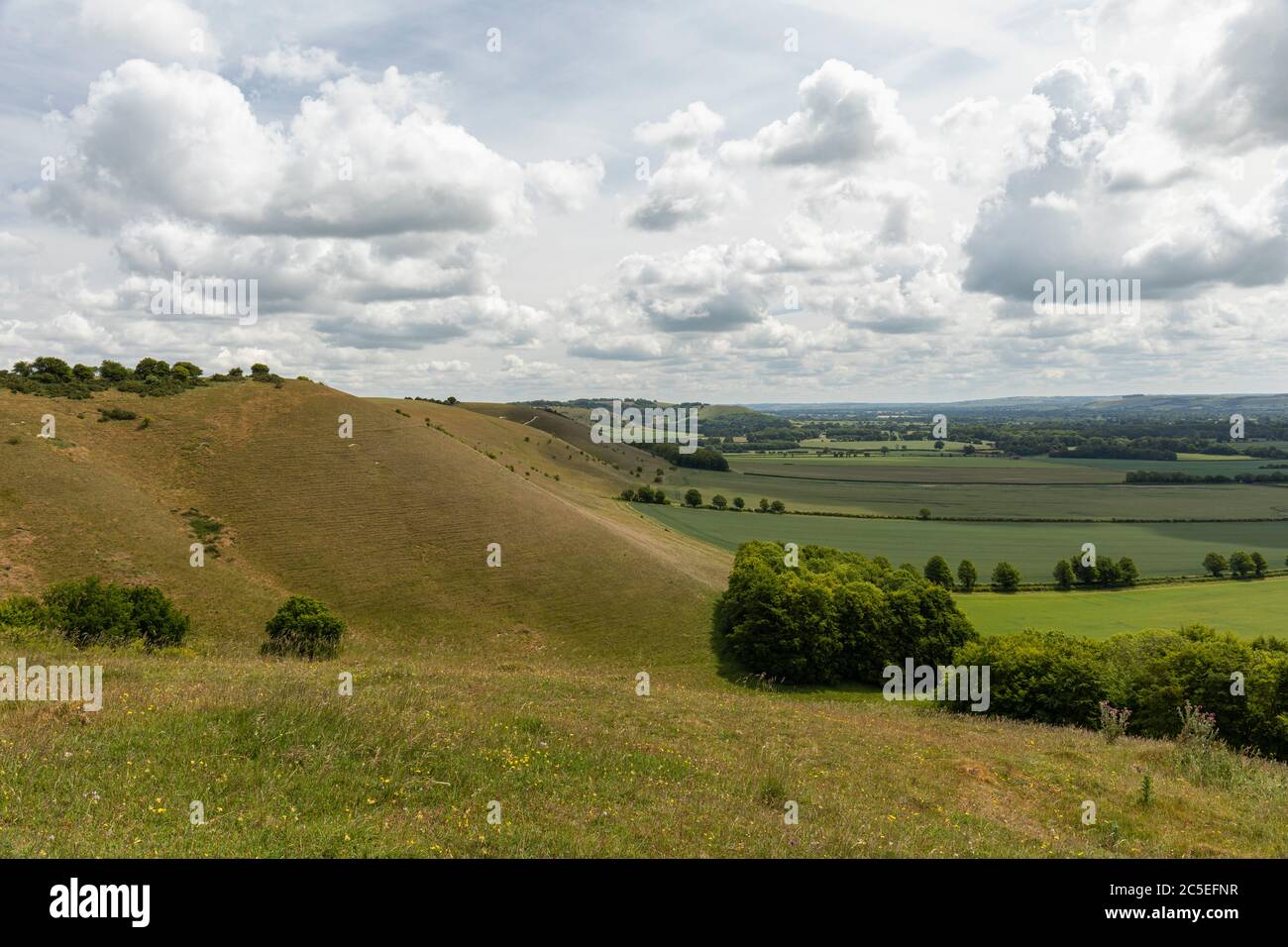 Blick vom Knap Hill auf die Landschaft von Wiltshire, England, Großbritannien Stockfoto
