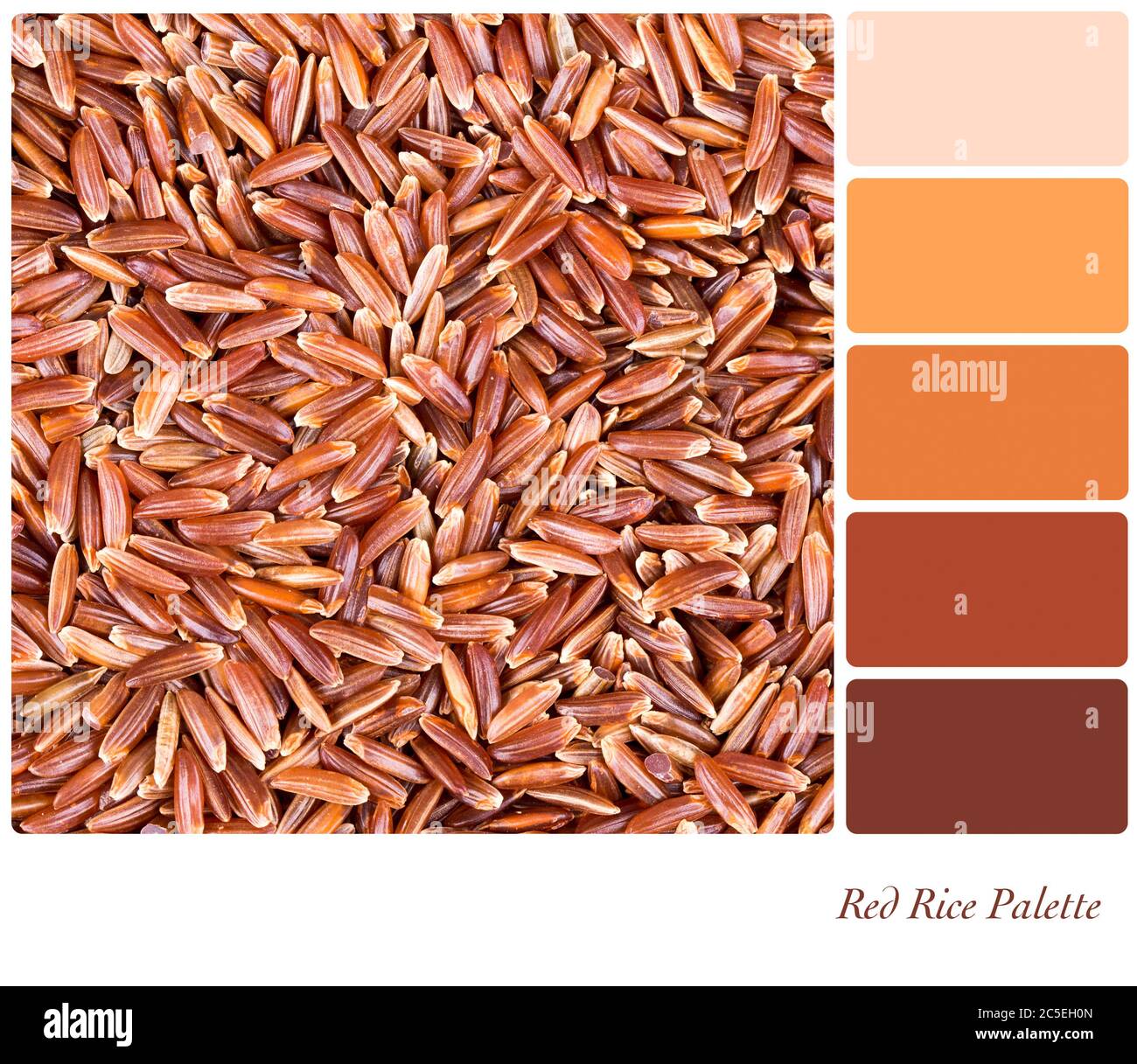 Ein Hintergrund von rotem Camargue-Reis in einer Farbpalette mit komplementary Farbmuster Stockfoto
