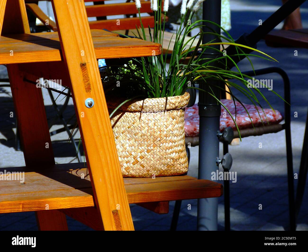 Terrasse Dekoration mit Holzleiter Regal und grün Topfpflanze. Verschwommener Hintergrund mit schwarzem Metall Stuhl im Retro-Stil. Raum Akzente Stücke. Stockfoto