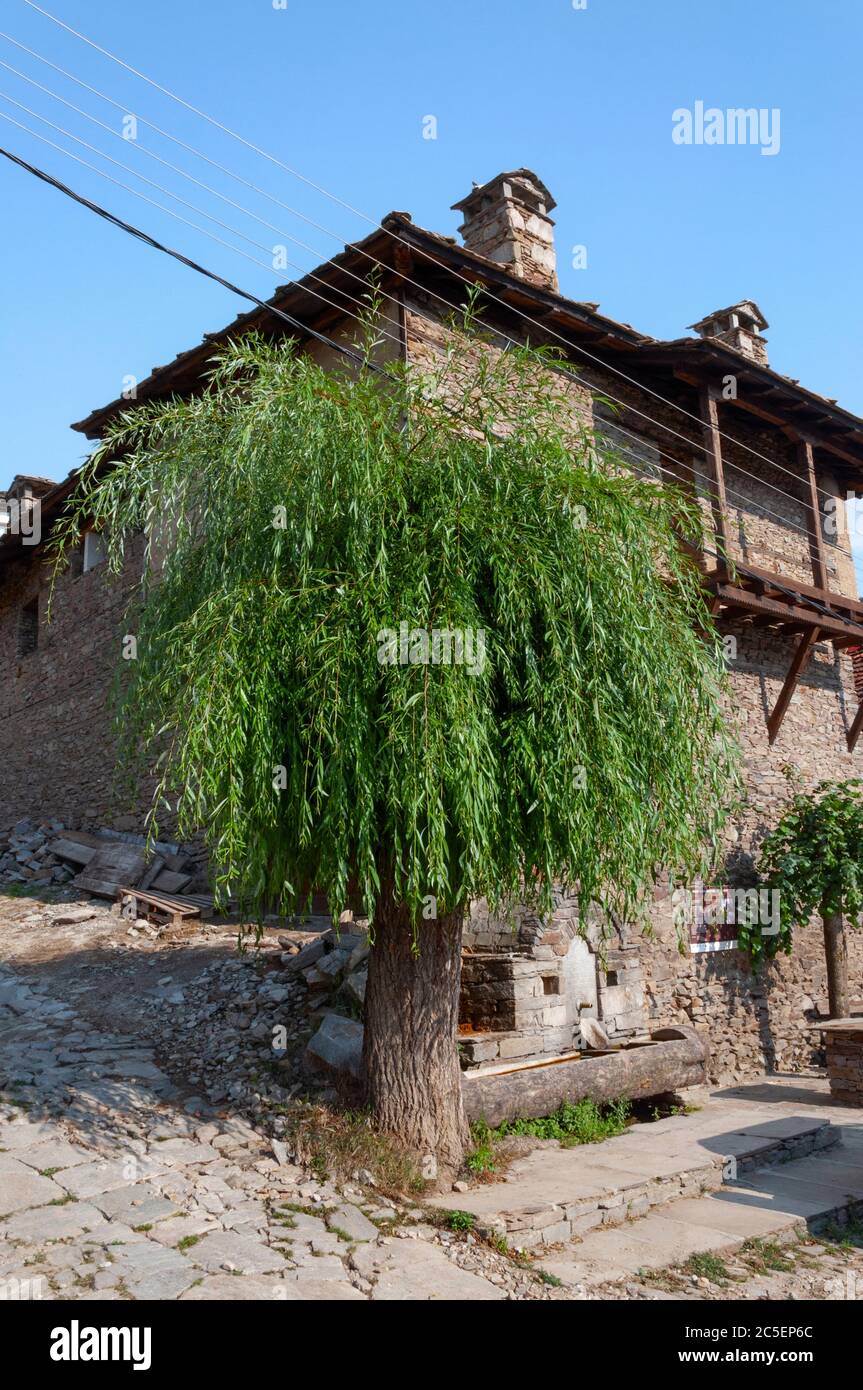 Alte öffentliche Trinkwasserbrunnen-Wanne und 19. Jahrhundert historischen Revival Architektur-Stil in Kovachevitsa Heritage Dorf in Bulgarien Stockfoto